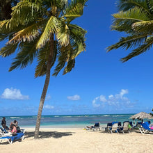 Cargar imagen en el visor de la galería, Wedding Vanessa &amp; Shamel Bahia Principe Grand El Portillo