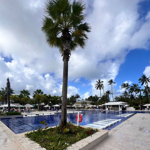 Wedding Vanessa & Shamel Bahia Principe Grand El Portillo